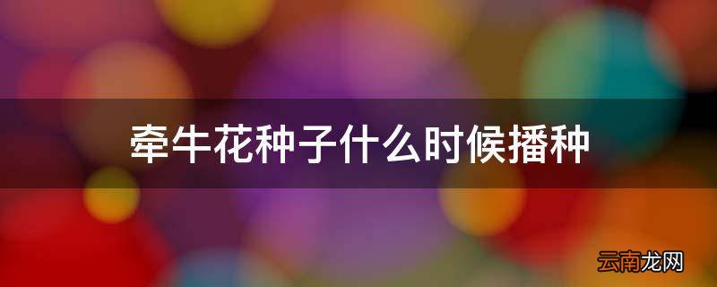牵牛花种子什么时候播种