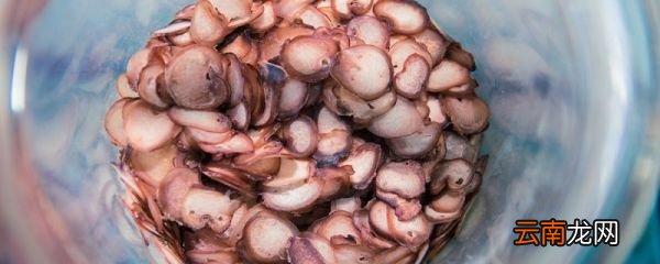 鲜鹿鞭泡酒前怎么处理 新鲜鹿鞭如何泡酒