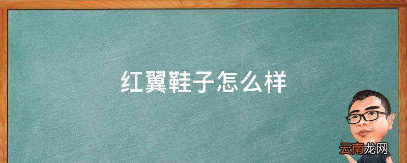 红翼鞋子怎么样