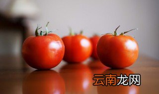 西红柿能放冰箱几天吃 西红柿能放冰箱几天吃吗