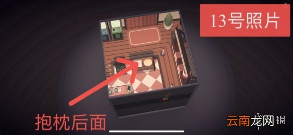 笼中窥梦照片有哪些 笼中窥梦照片收集攻略