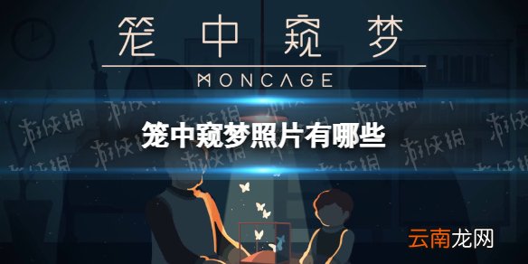 笼中窥梦照片有哪些 笼中窥梦照片收集攻略