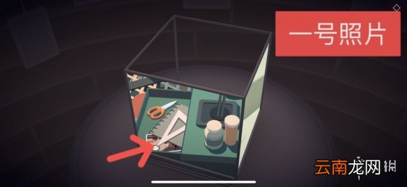 笼中窥梦照片有哪些 笼中窥梦照片收集攻略