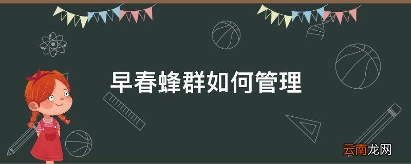 早春蜂群如何管理