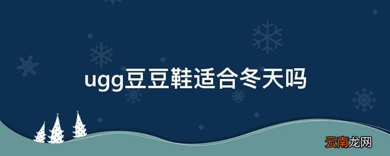 ugg豆豆鞋适合冬天吗