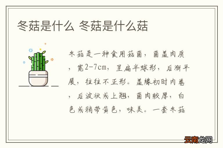 冬菇是什么 冬菇是什么菇