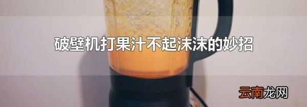 破壁机打果汁不起沫沫的妙招
