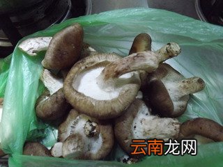 香菇素片的做法
