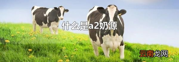 什么是a2奶源