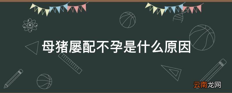 母猪屡配不孕是什么原因