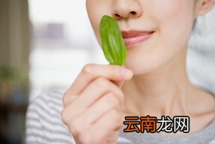 女生排卵期是什么时候,女性排卵期是什么时候