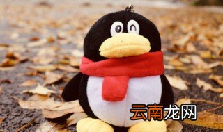 公仔可以用洗衣机洗吗，毛毛公仔可以放洗衣机洗吗