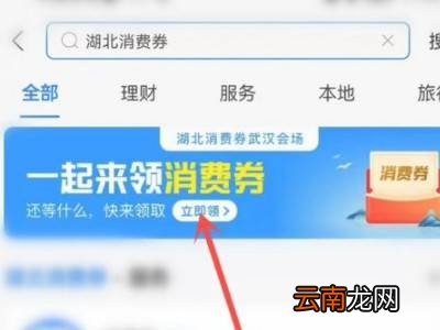 支付宝怎么领取湖北消费券
