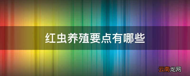 红虫养殖要点有哪些