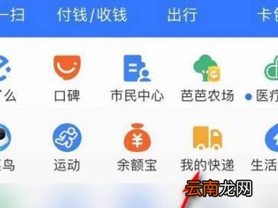 支付宝快递下单记录在哪里看