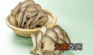 不需要阳光的植物有哪些，不是很需要阳光的植物