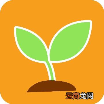 亲宝宝中将关注取消具体操作方法