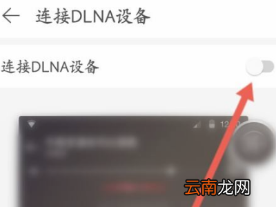 网易云dlna在哪儿