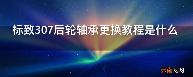 标致307后轮轴承更换教程是什么
