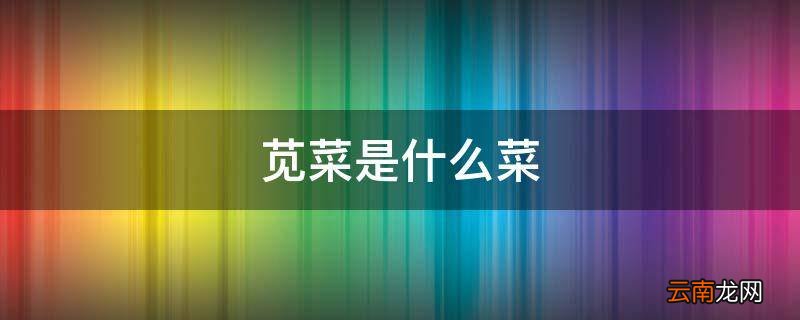 苋菜是什么菜