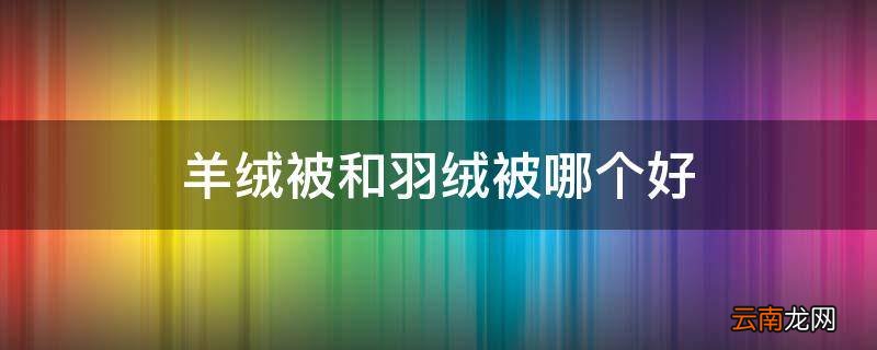 羊绒被和羽绒被哪个好