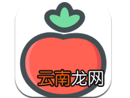 番茄打卡具体使用方法介绍