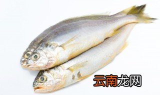活鱼放冰箱冷藏能放几天可以吃 活鱼放冰箱冷藏能放几天