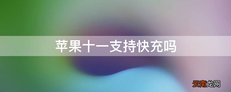 苹果十一可以快充嘛 iPhone十一支持快充吗