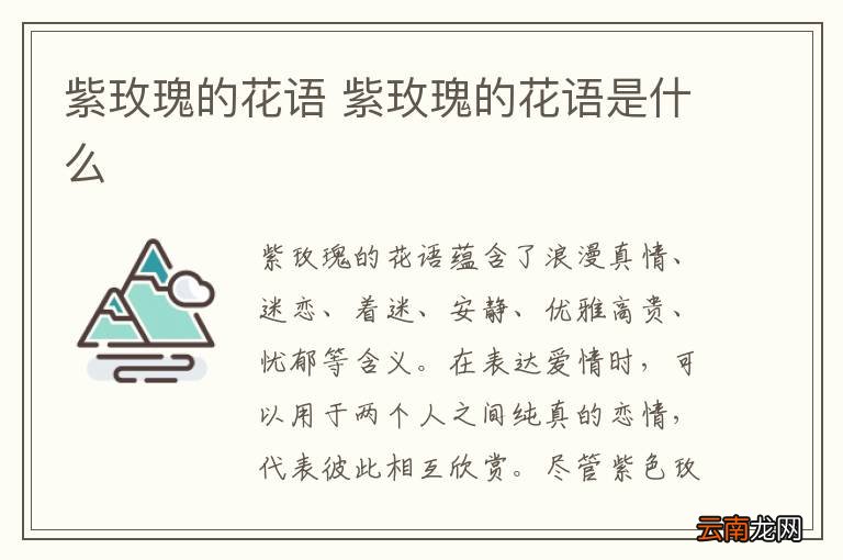 紫玫瑰的花语 紫玫瑰的花语是什么