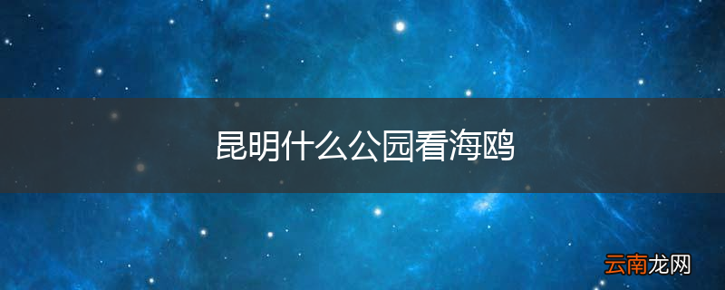 昆明什么公园看海鸥