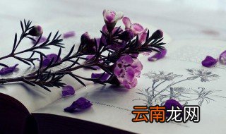 无可奈何花落去似曾相识燕归来的理解是什么呢 无可奈何花落去似曾相识燕归来解释