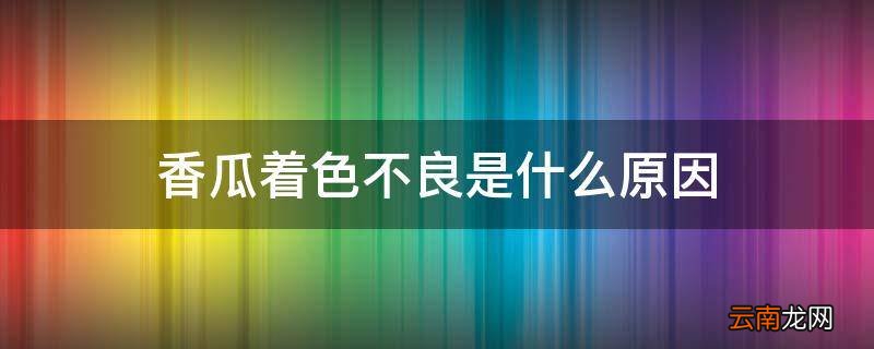 香瓜着色不良是什么原因