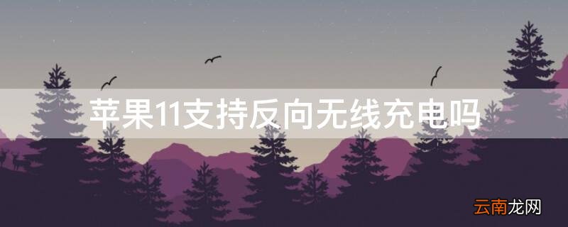 iPhone11支持反向无线充电吗 iphone11能不能反向无线充电