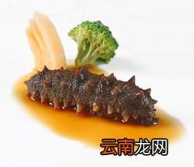 鲍汁海参的做法,怎么做鲍汁海参