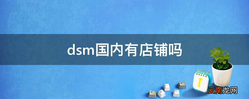 dsm国内有店铺吗