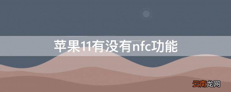 iPhone11有没有nfc功能 iphone11有nfc功能吗?