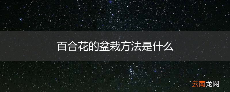 百合花的盆栽方法是什么