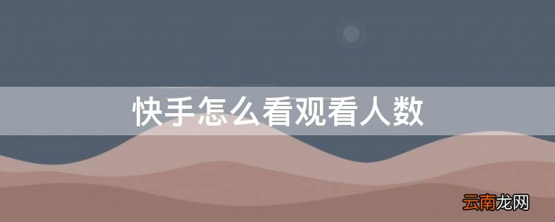 快手怎么看人数明细 快手怎么看观看人数
