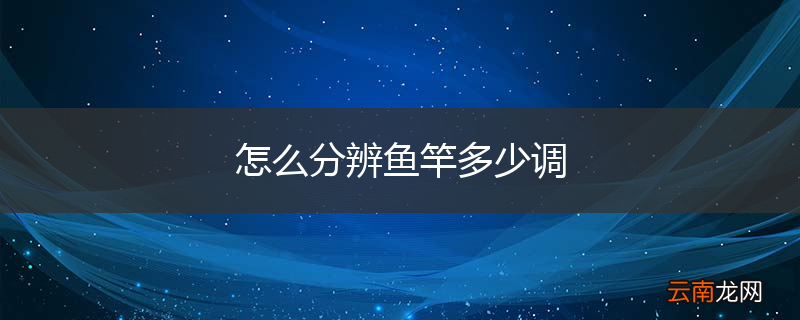 怎么分辨鱼竿多少调
