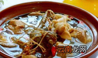 田七炖鸡的做法和功效 田七炖鸡的做法