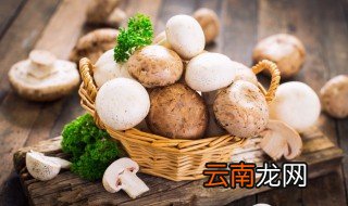 蘑菇怎么做酱做蘑菇酱的做法 干蘑菇怎么制作成蘑菇酱