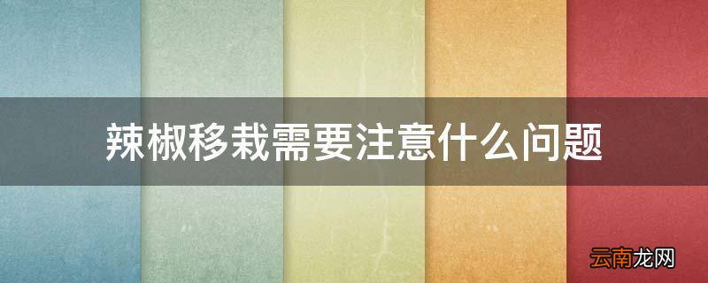辣椒移栽需要注意什么问题