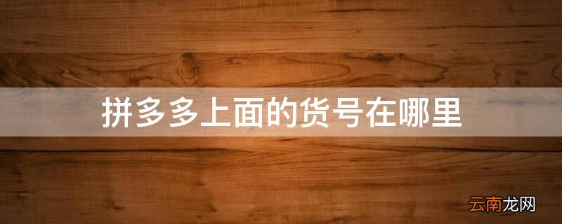 拼多多上面的货号在哪里 拼多多的货号在哪里看