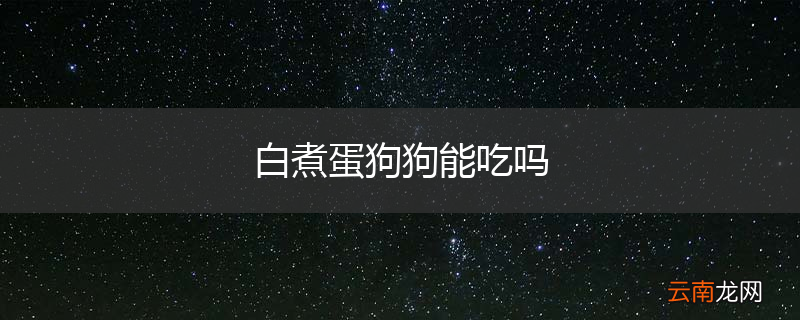 白煮蛋狗狗能吃吗
