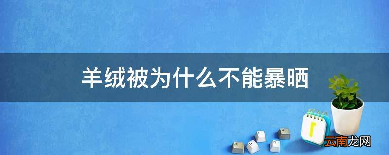 羊绒被为什么不能暴晒