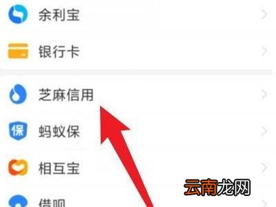信用购怎么关闭