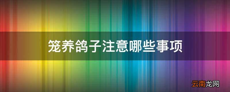 笼养鸽子注意哪些事项