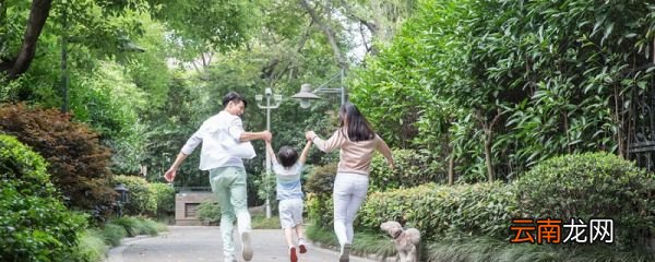 什么是偏爱 偏爱的定义