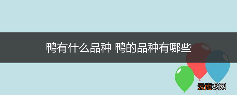 鸭有什么品种 鸭的品种有哪些