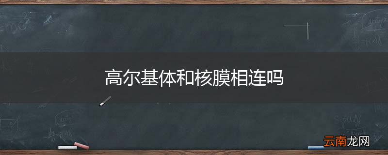 高尔基体和核膜相连吗